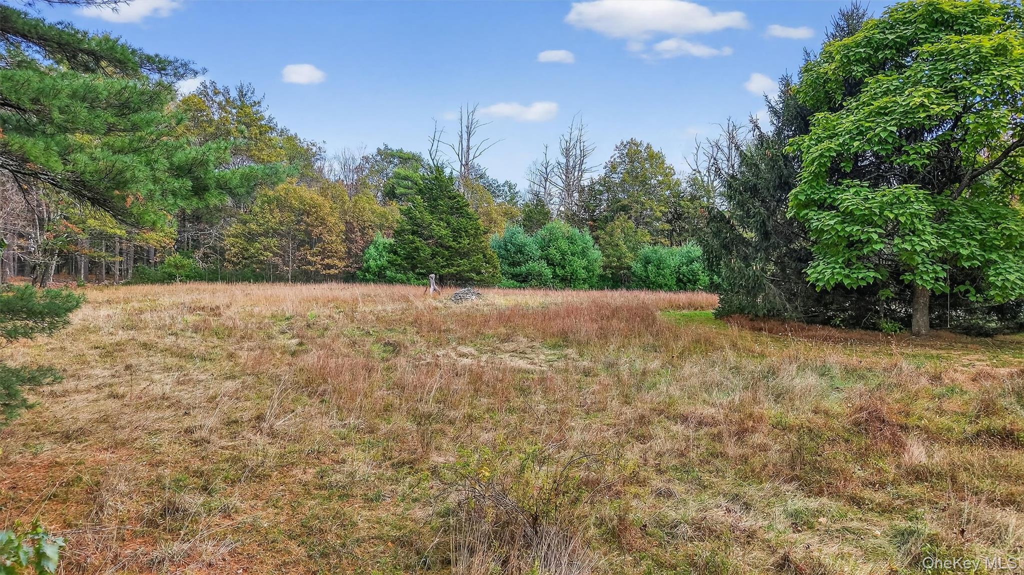 Single Family Band Camp  Ulster County, NY 12477, MLS-922908-19