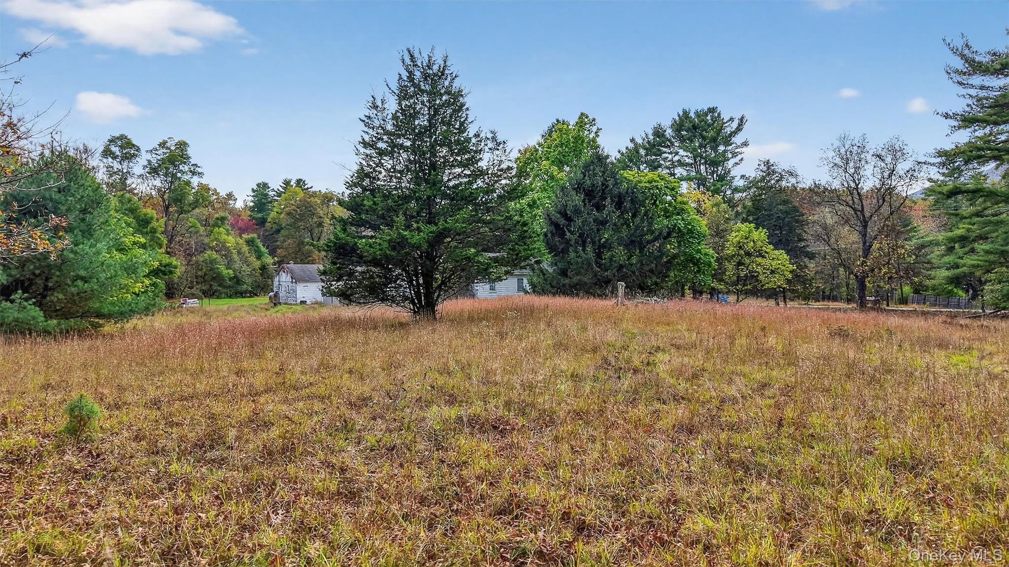 Single Family Band Camp  Ulster County, NY 12477, MLS-922908-24