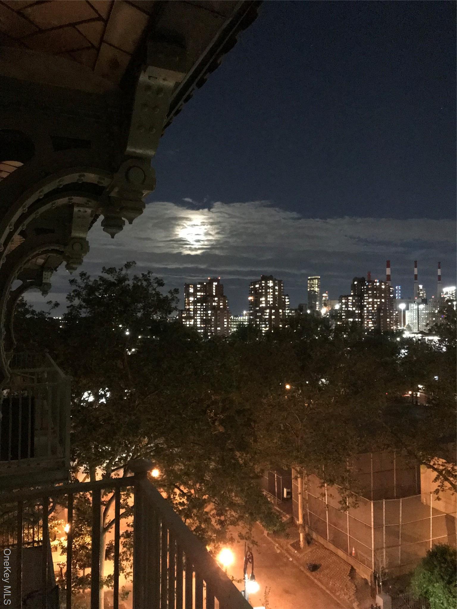 Apartment East 77  Manhattan, NY 10075, MLS-922930-10