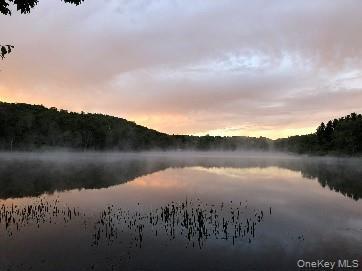 Single Family Trout Brook Sullivan County, NY 12776, MLS-922937-30