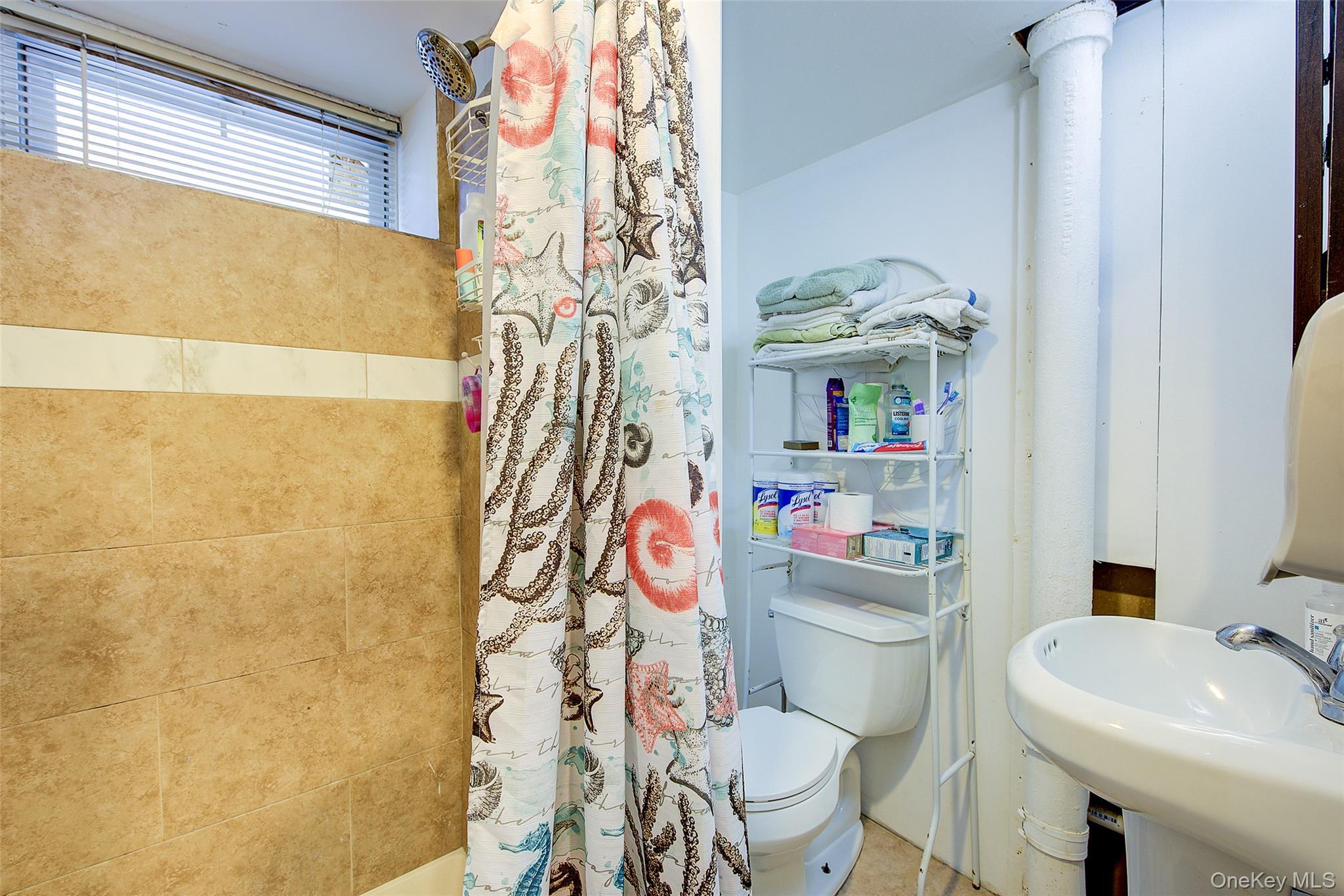 Single Family 239  Nassau County, NY 11001, MLS-923087-20