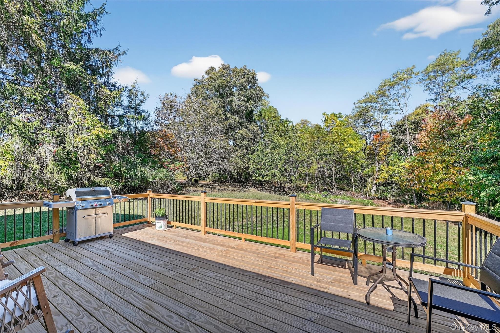 Single Family Elizabeth  Ulster County, NY 12589, MLS-923102-35