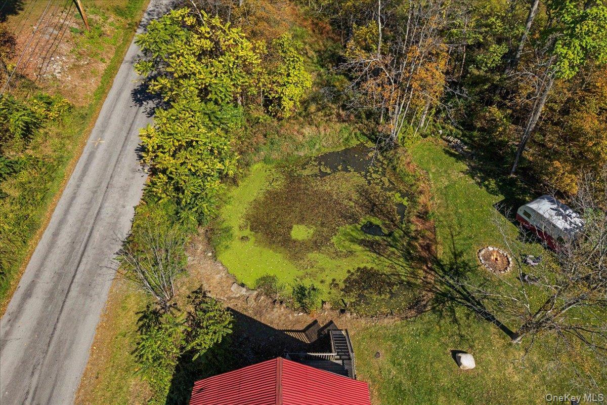 Single Family Amdurer  Orange County, NY 10998, MLS-923149-11