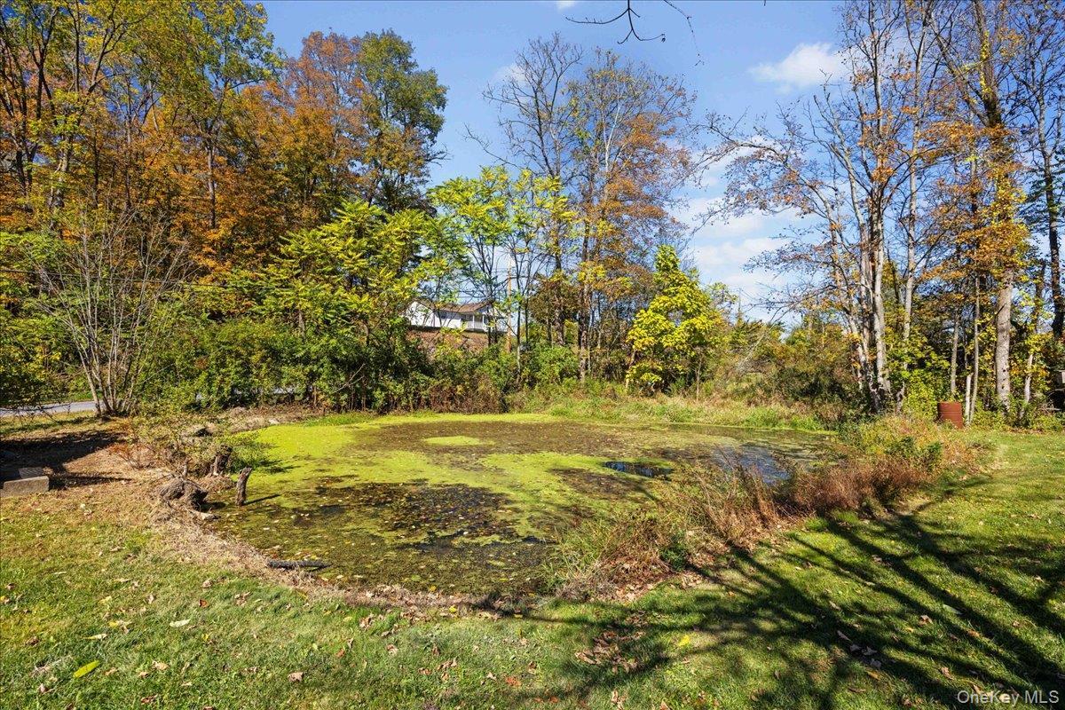 Single Family Amdurer  Orange County, NY 10998, MLS-923149-38