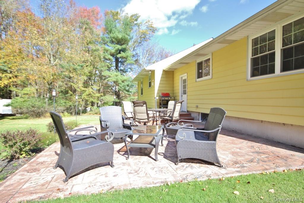 Single Family Downs  Sullivan County, NY 12701, MLS-923177-14