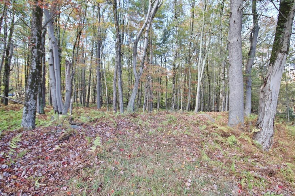 Single Family Downs  Sullivan County, NY 12701, MLS-923177-36