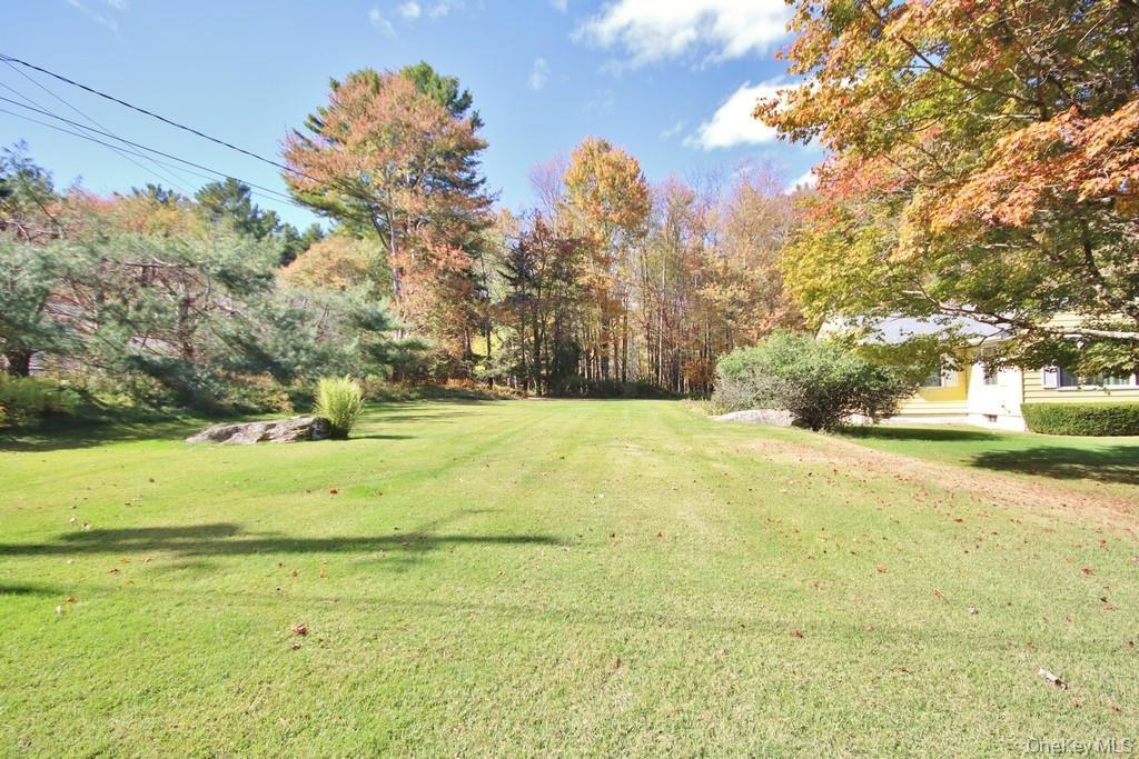 Single Family Downs  Sullivan County, NY 12701, MLS-923177-4