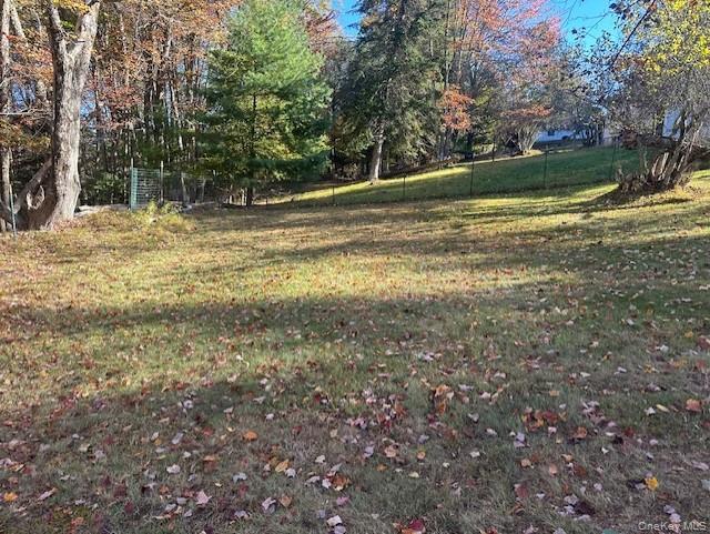 Single Family Miles And Marguerite Sullivan County, NY 12733, MLS-923192-2