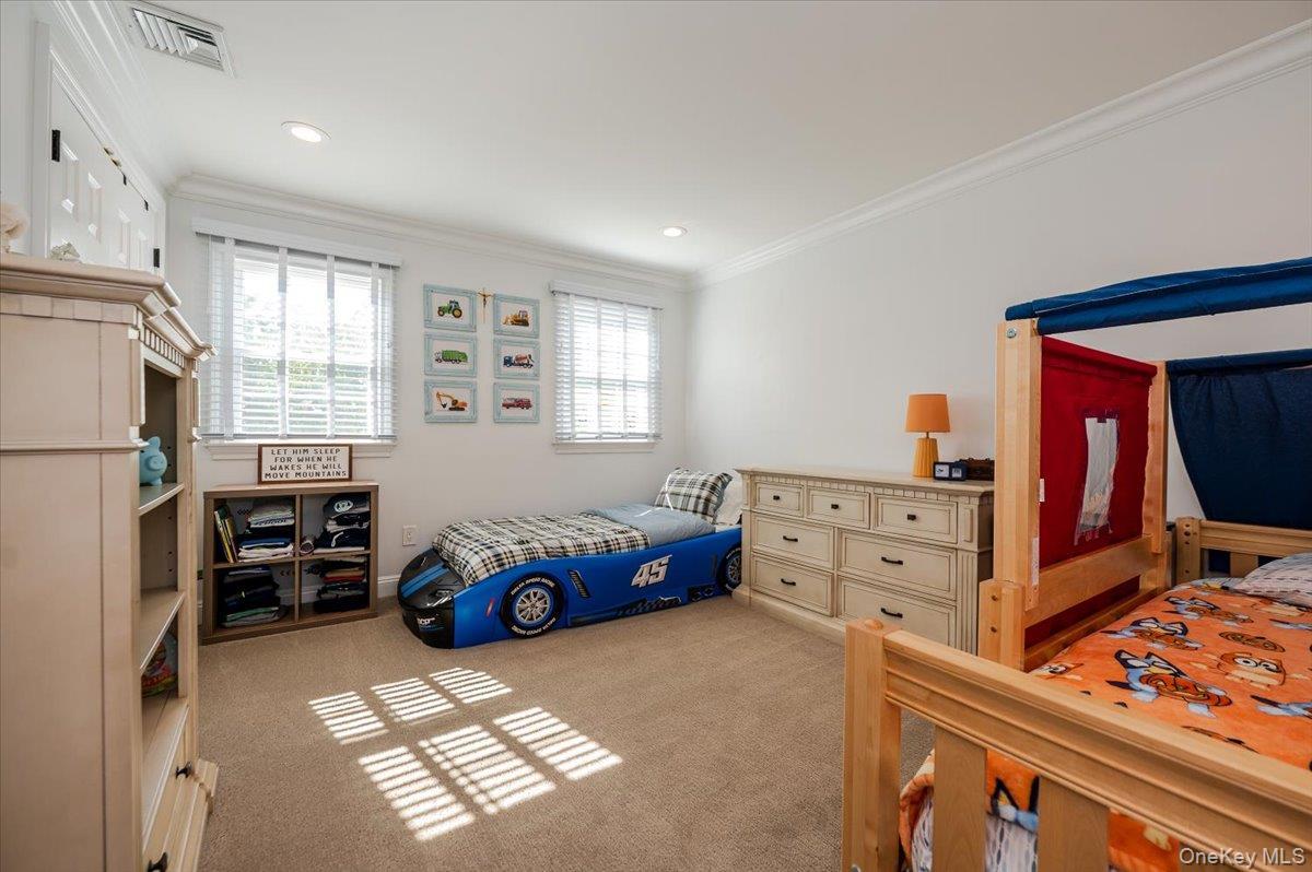 Single Family Karol Nassau County, NY 11753, MLS-923201-22