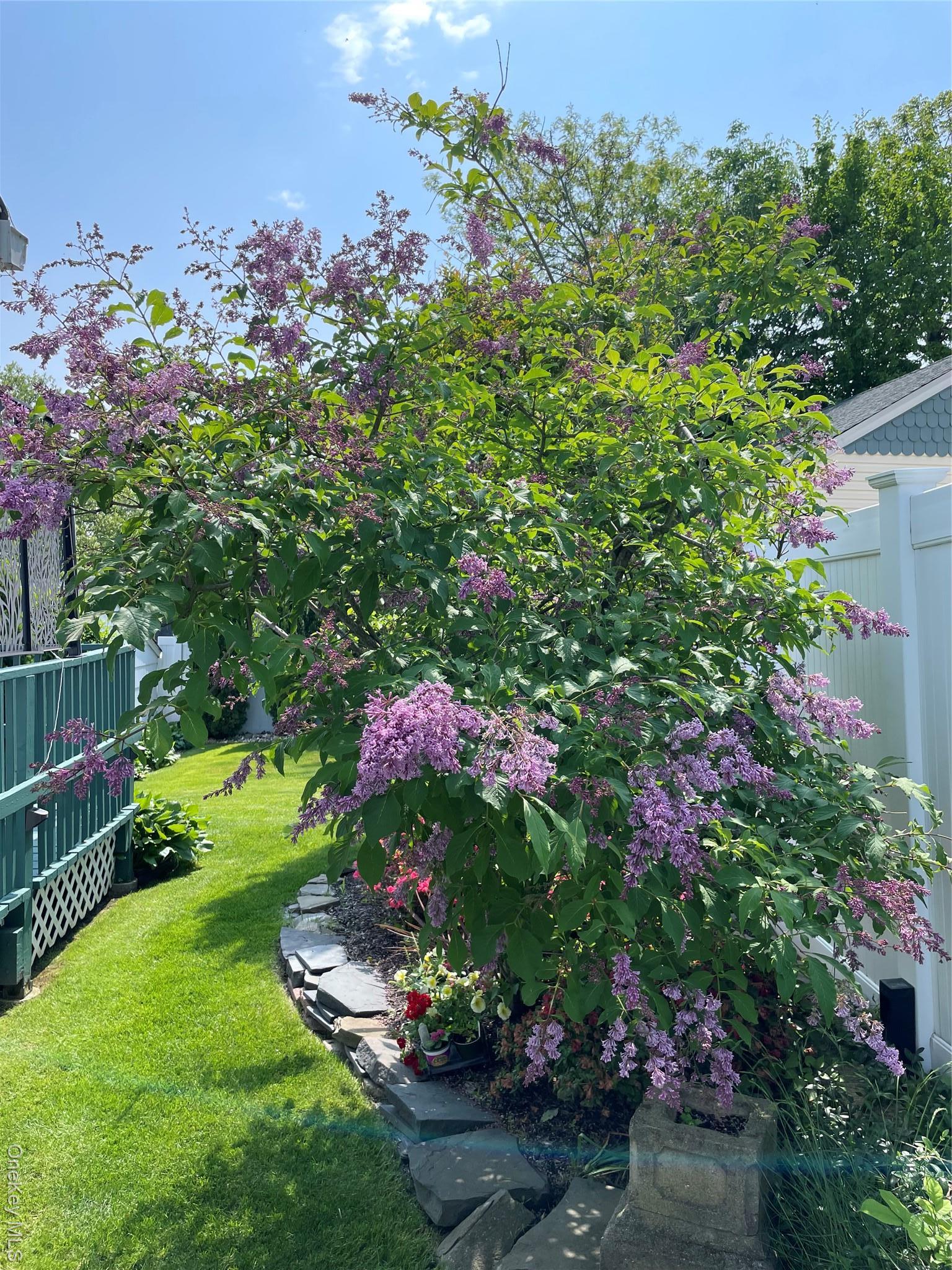 Single Family Overlook  Suffolk County, NY 11743, MLS-923202-23