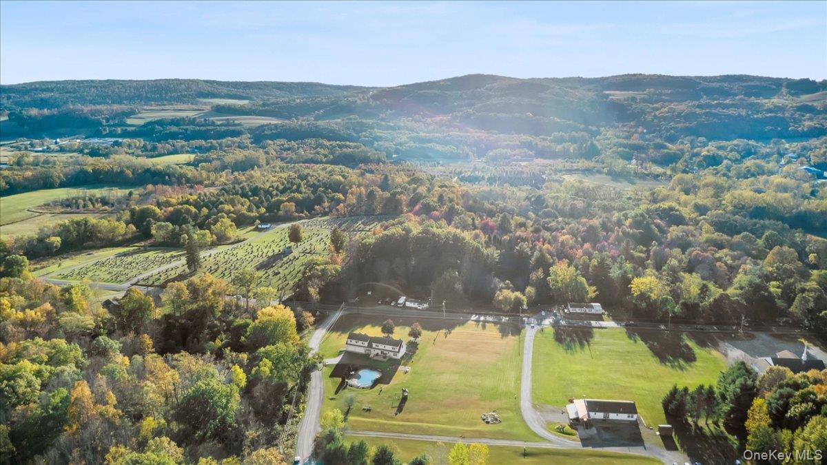 Single Family Mountain View Out Of Area, NY 12090, MLS-923208-43