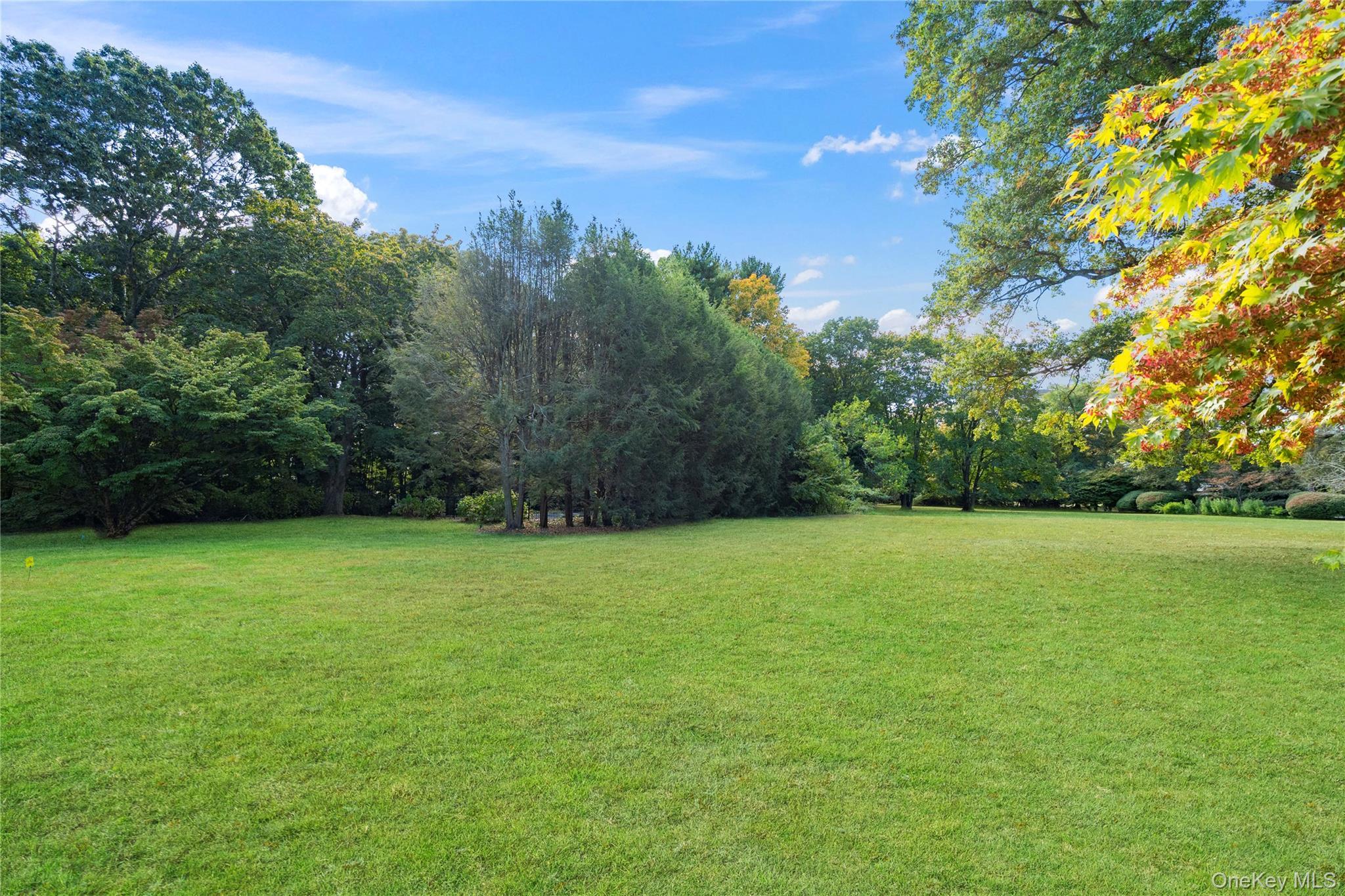 Single Family Ripley Nassau County, NY 11771, MLS-923225-34