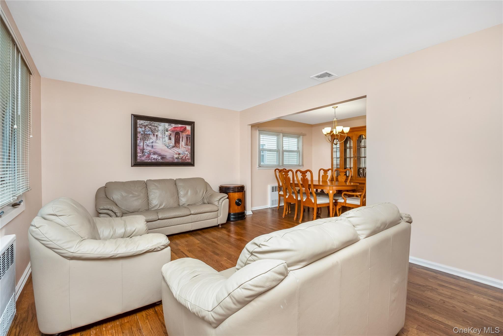 Single Family Lucille  Nassau County, NY 11003, MLS-923307-5