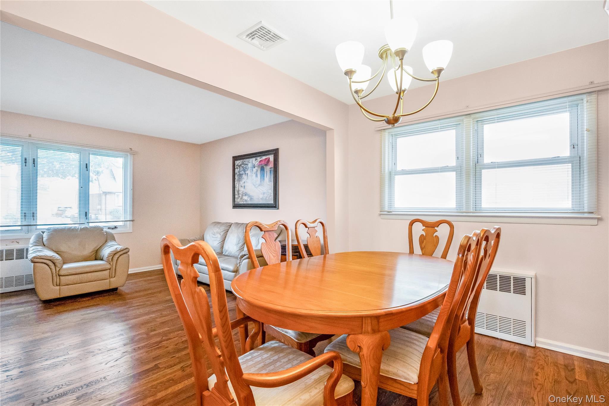 Single Family Lucille  Nassau County, NY 11003, MLS-923307-8