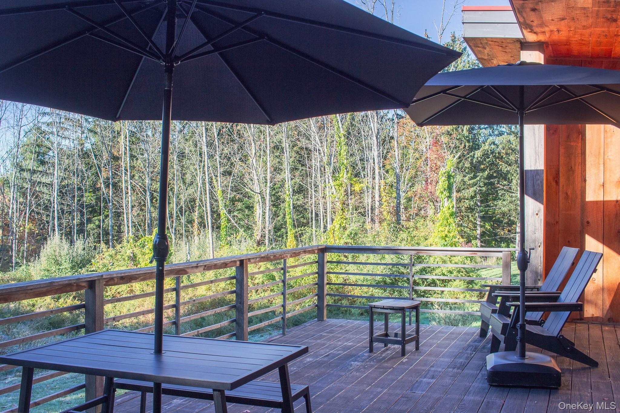 Single Family Reed  Columbia County, NY 12165, MLS-923354-11