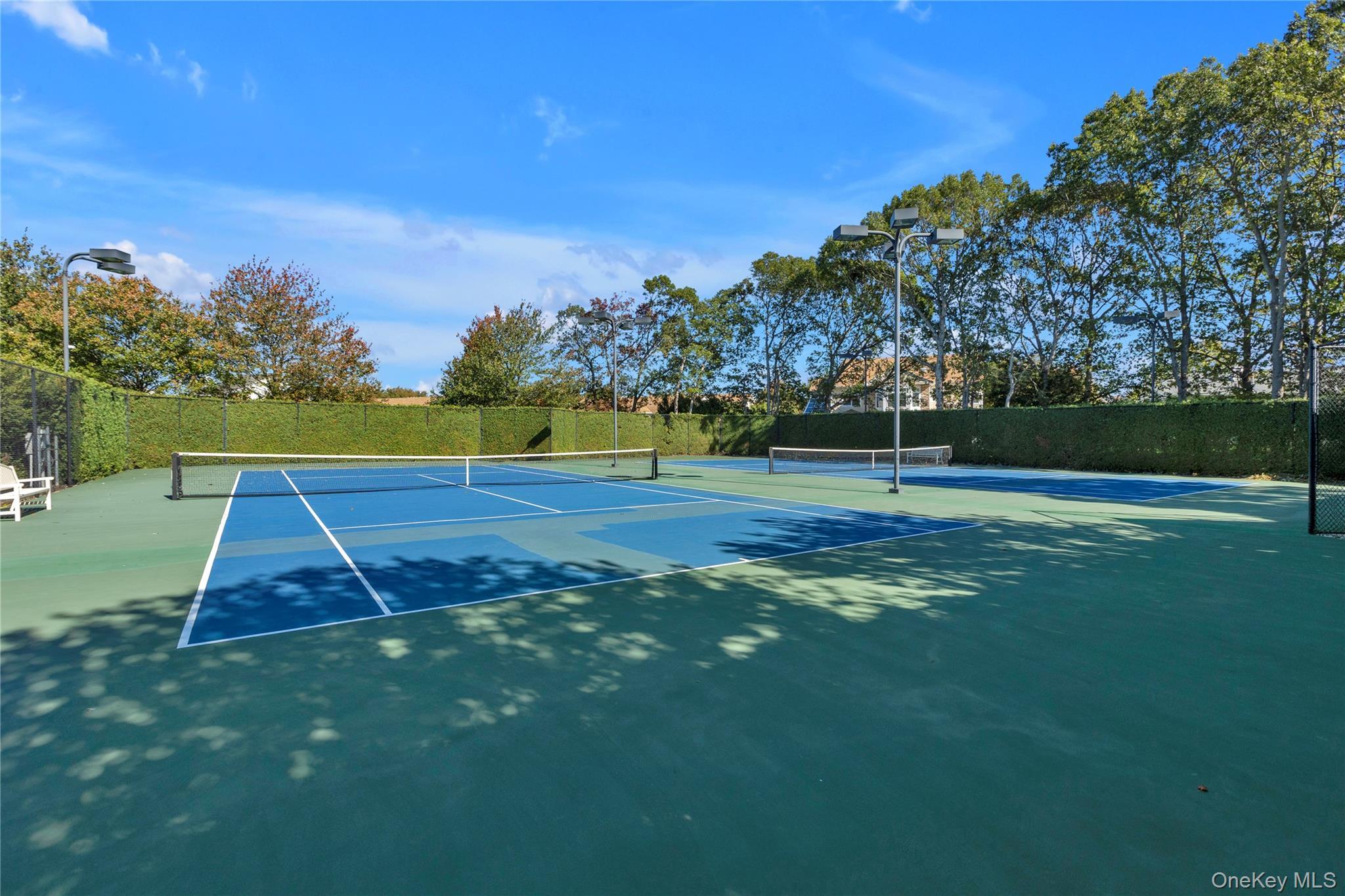 Single Family Hamlet Woods Suffolk County, NY 11780, MLS-923370-42