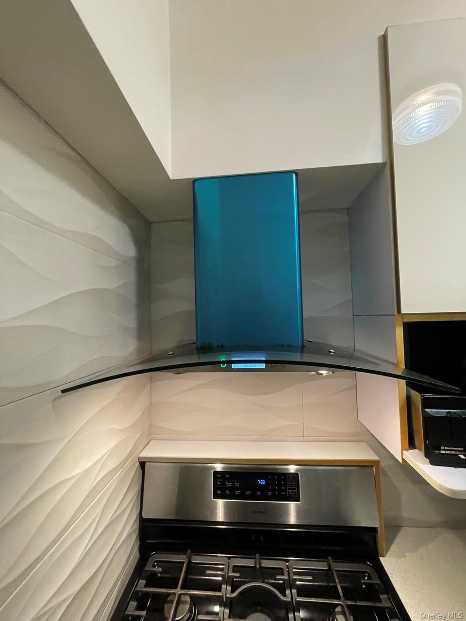 Condo 102nd  Queens, NY 11374, MLS-923410-37