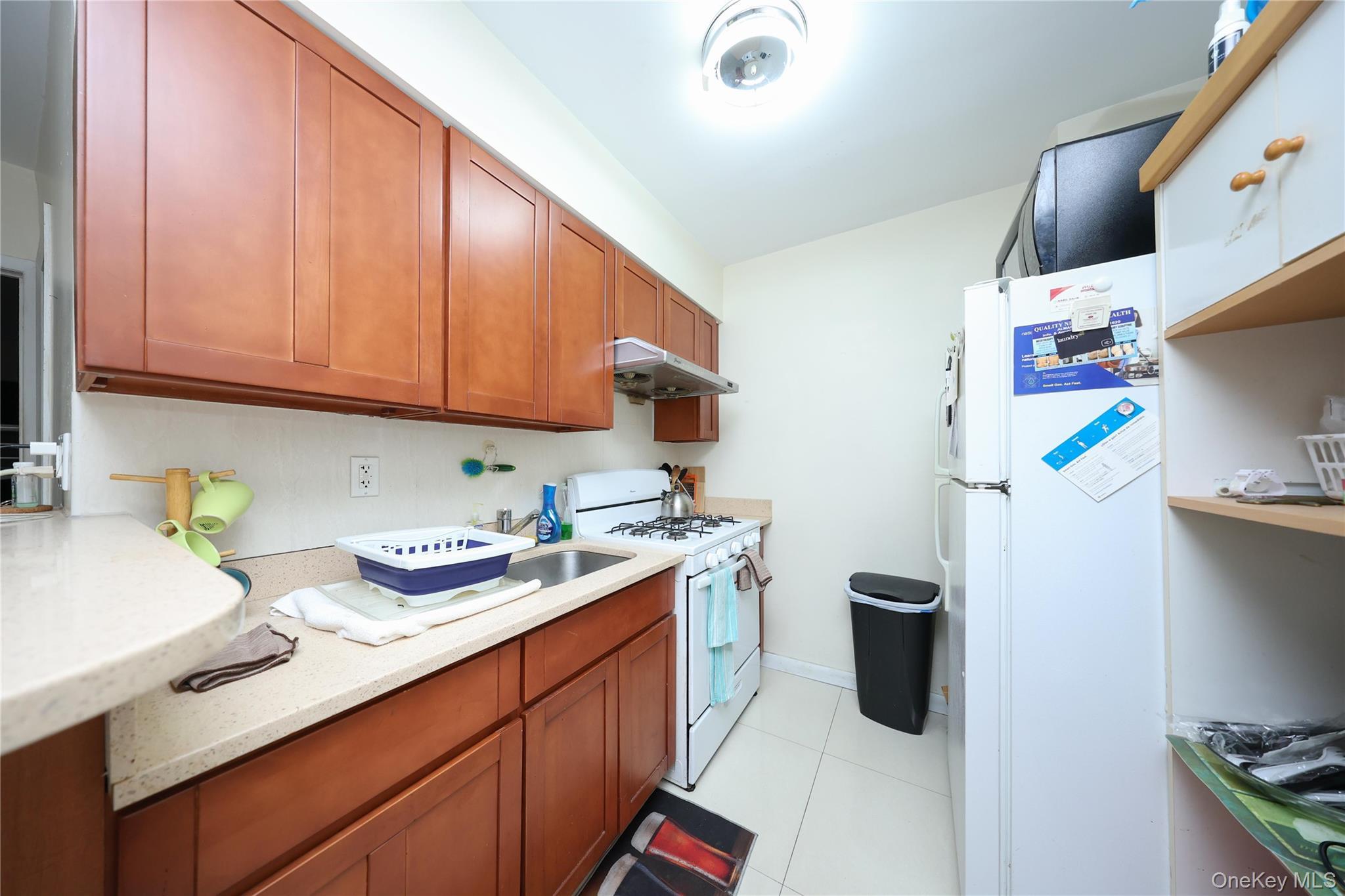 Single Family Curzon Queens, NY 11418, MLS-923423-17