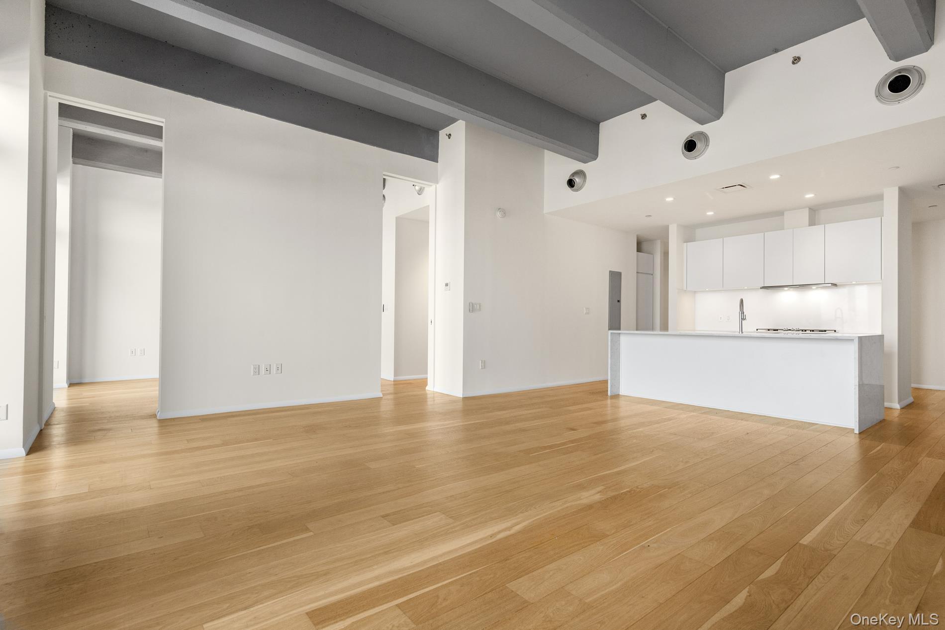 Condo Imlay  Brooklyn, NY 11231, MLS-923478-14