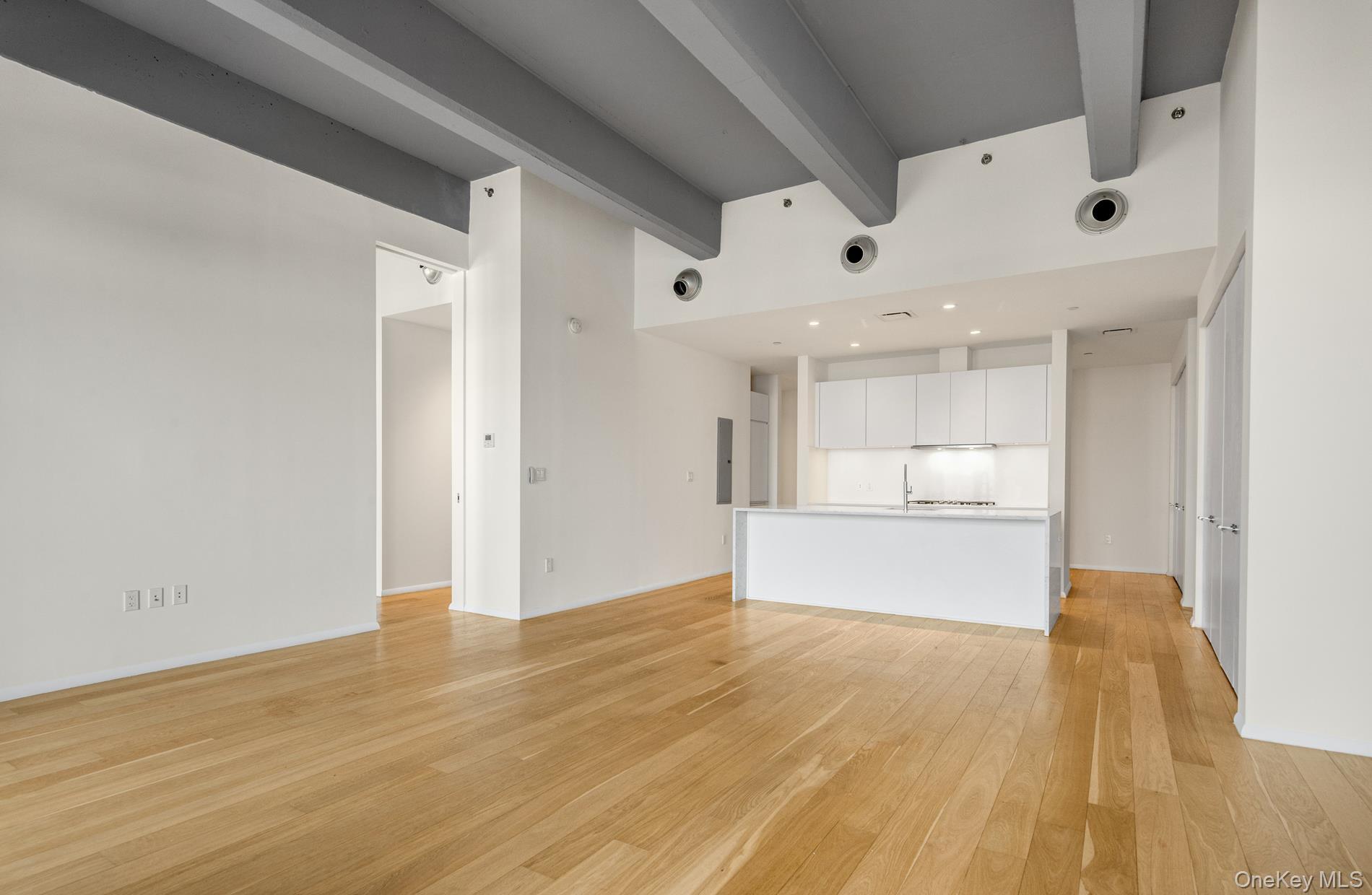 Condo Imlay  Brooklyn, NY 11231, MLS-923478-9