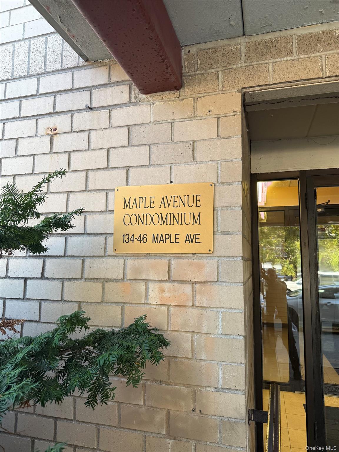 Condo Maple  Queens, NY 11355, MLS-923509-2