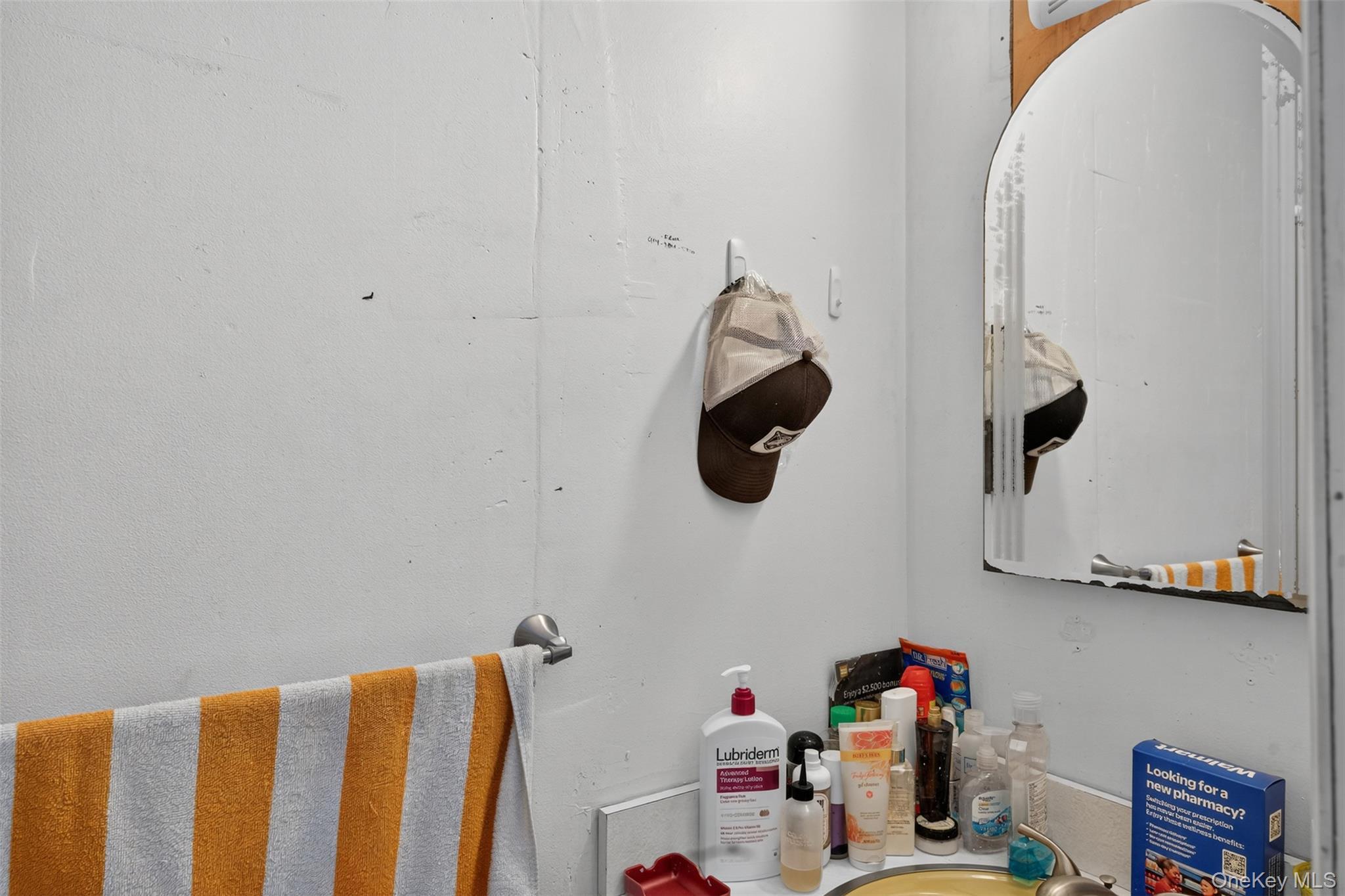 Single Family Mount Rose Ulster County, NY 12542, MLS-923525-18