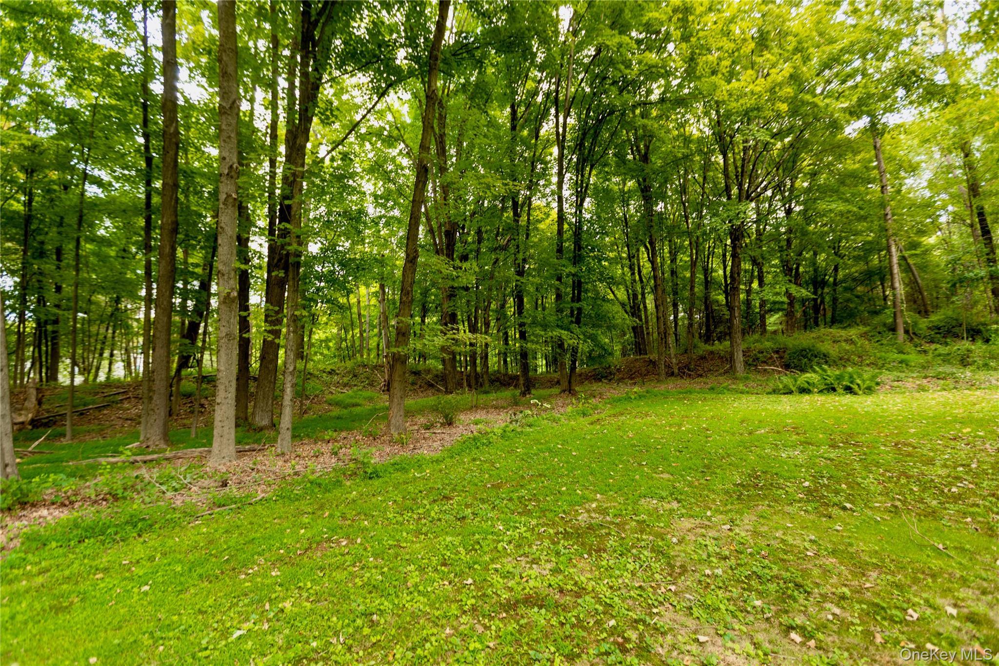 Single Family Tongore Ulster County, NY 12401, MLS-923567-30