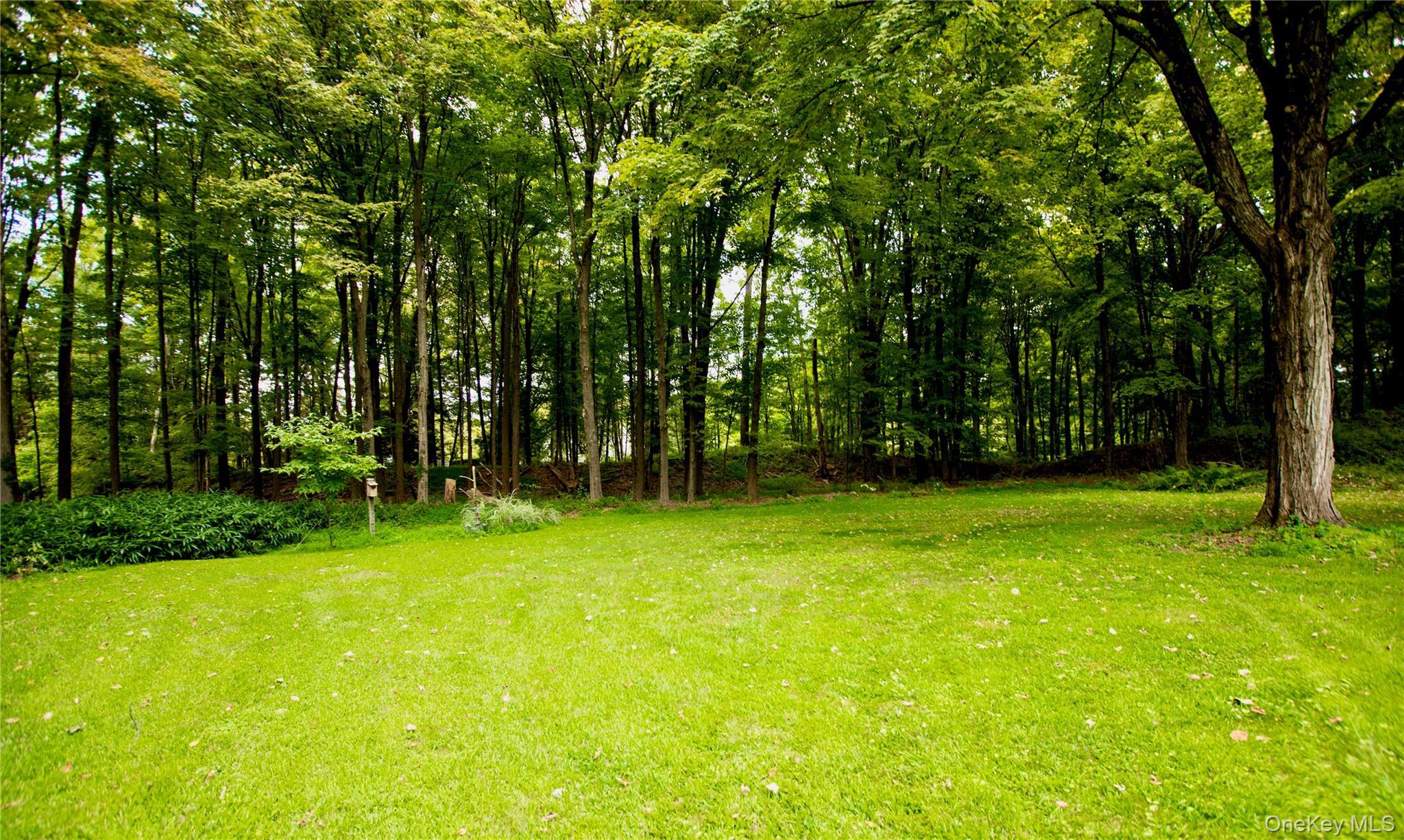 Single Family Tongore Ulster County, NY 12401, MLS-923567-32