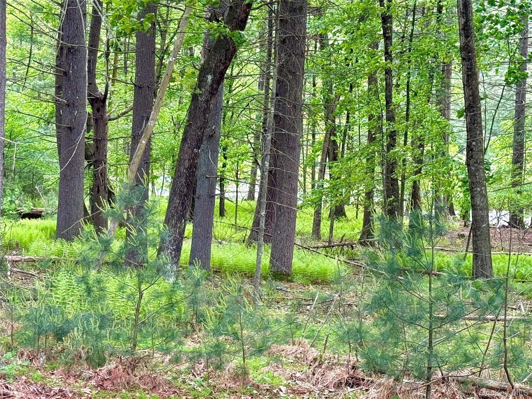 Single Family Faith Dr  Orange County, NY 12771, MLS-923570-20