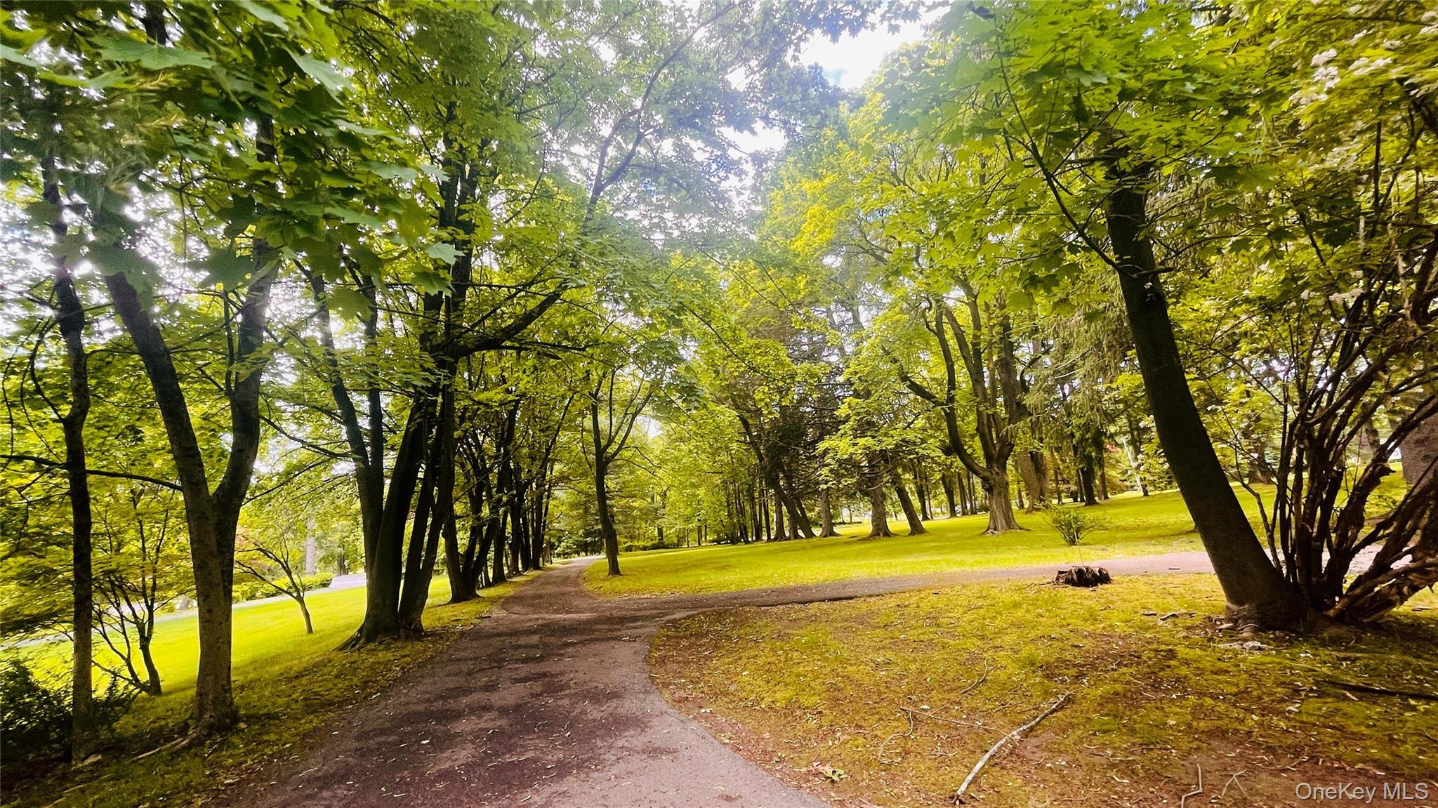 Single Family Baron De Hirsch Westchester County, NY 10517, MLS-923577-16