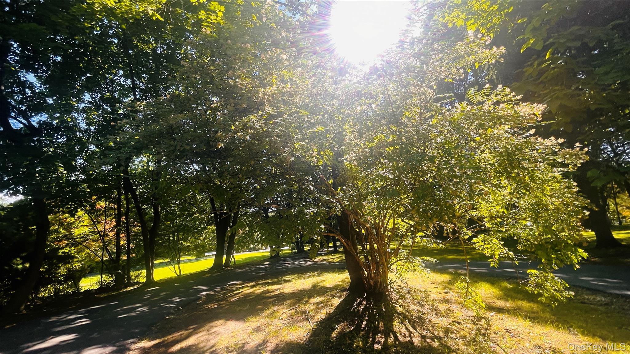 Single Family Baron De Hirsch  Westchester County, NY 10517, MLS-923577-20