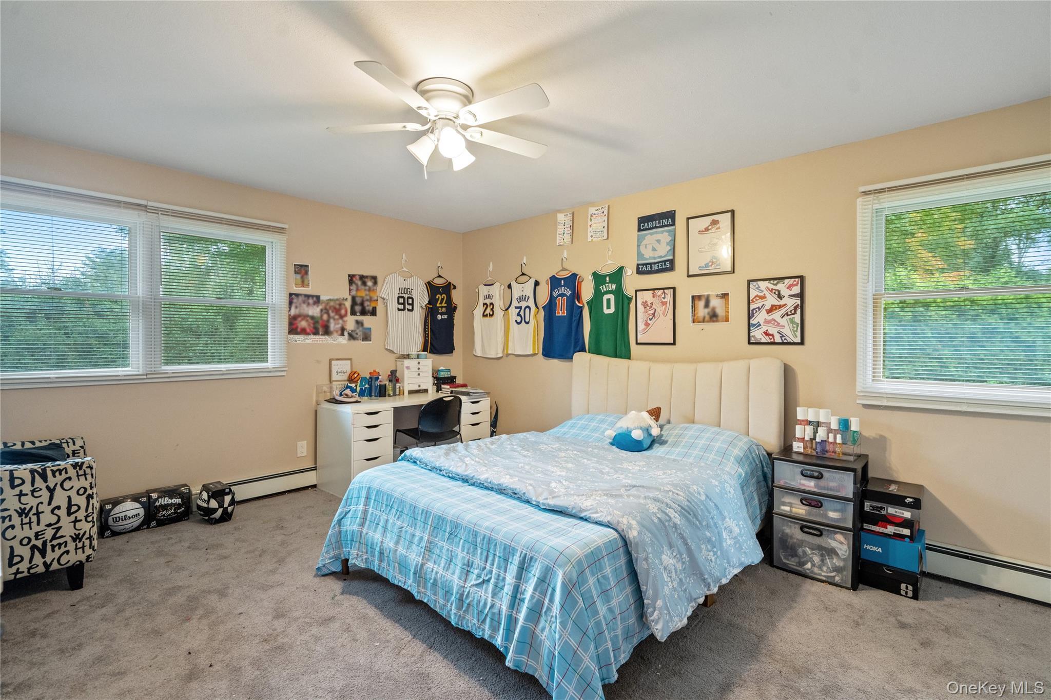 Single Family Hollow Suffolk County, NY 11746, MLS-923578-23