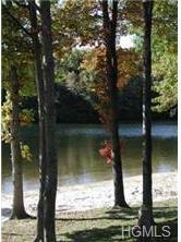 Single Family Laurel  Orange County, NY 10930, MLS-923587-38