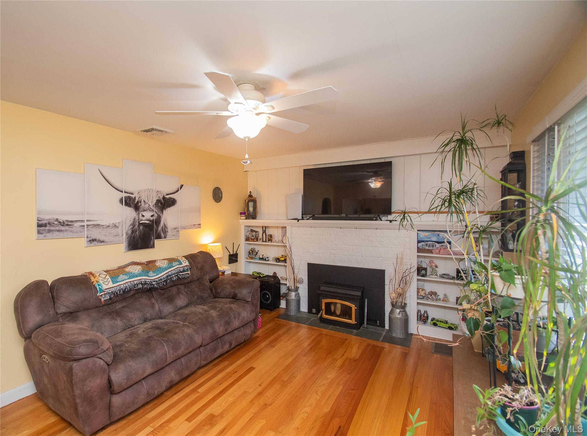 Single Family Hooker Ulster County, NY 12401, MLS-923588-3