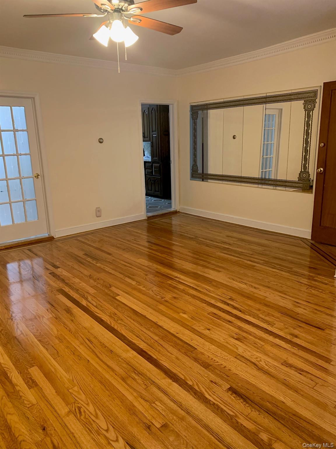 Single Family 85th  Queens, NY 11385, MLS-923640-5