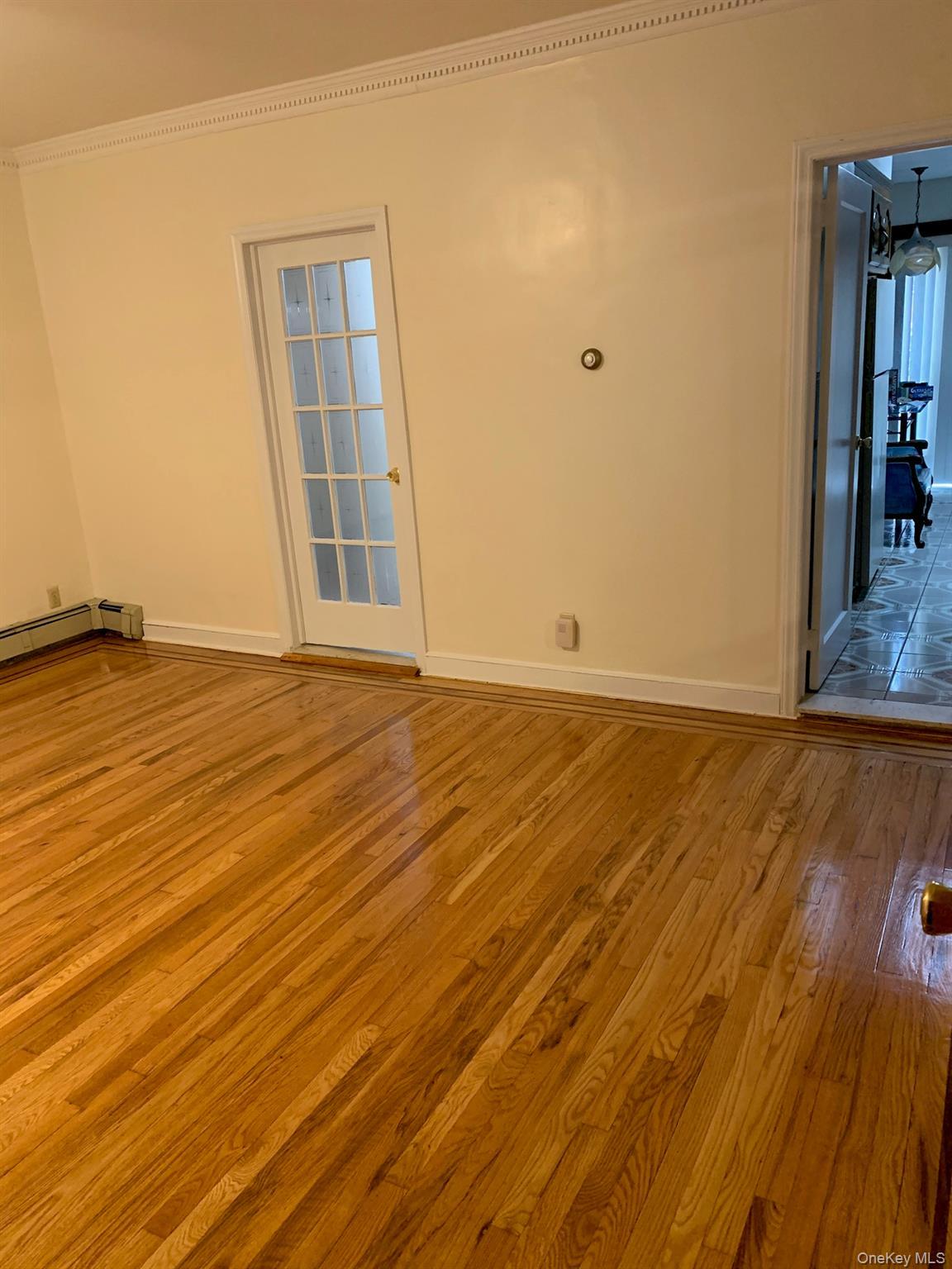 Single Family 85th  Queens, NY 11385, MLS-923640-6