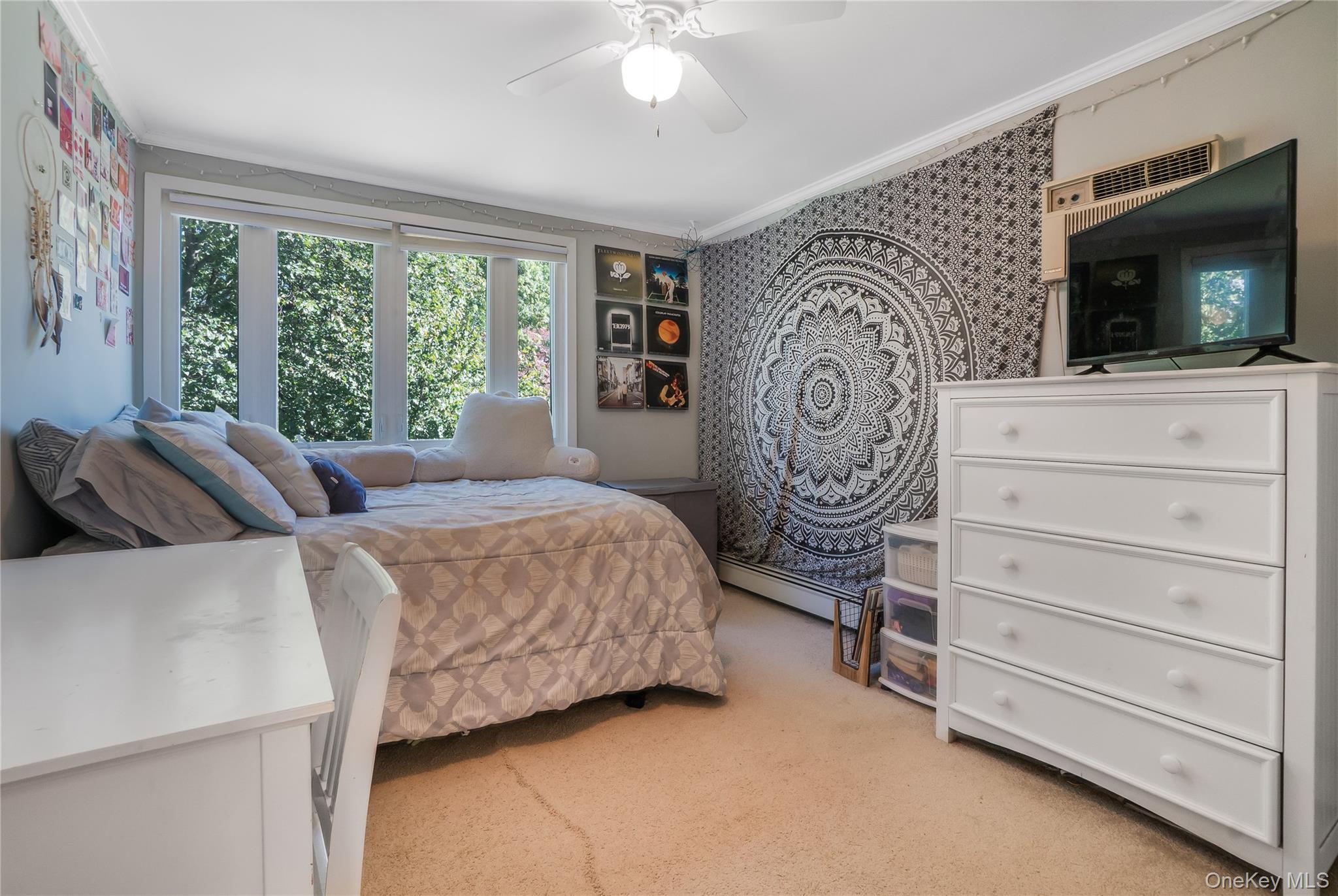 Single Family Maple  Nassau County, NY 11040, MLS-923646-17