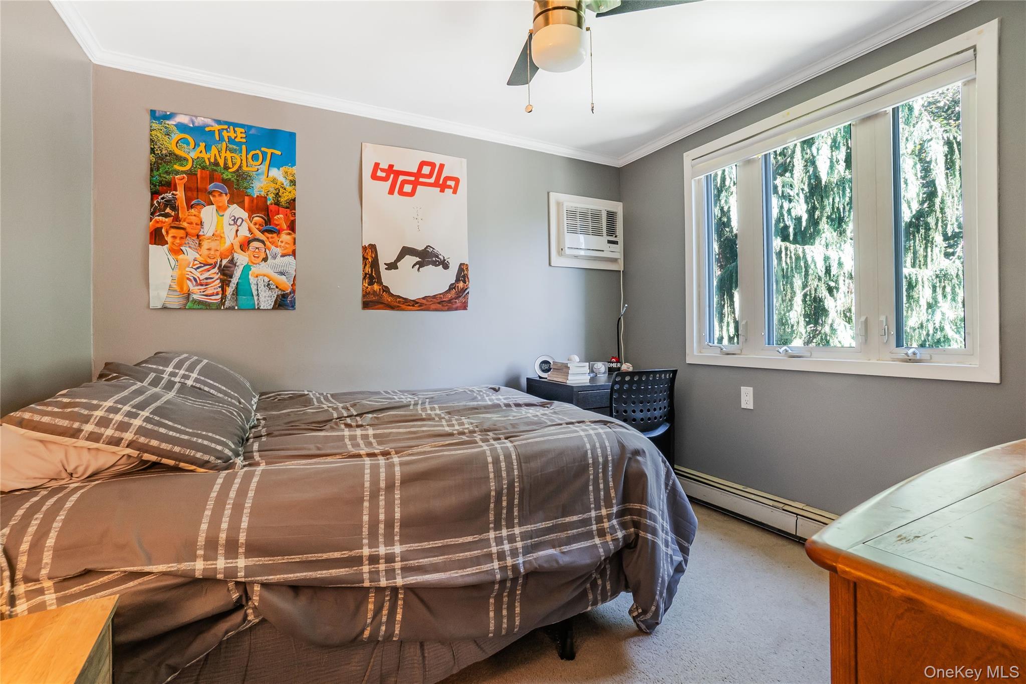 Single Family Maple  Nassau County, NY 11040, MLS-923646-18