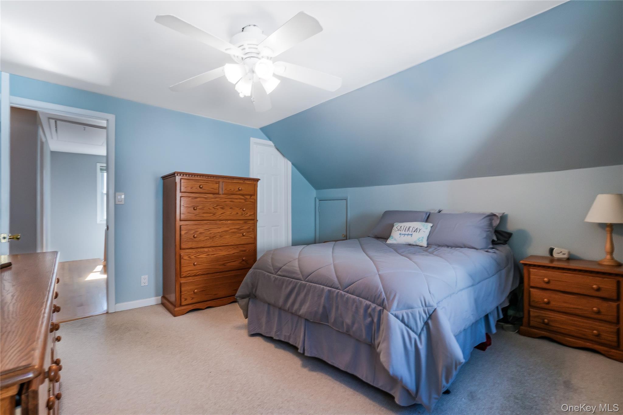 Single Family Maple  Nassau County, NY 11040, MLS-923646-20