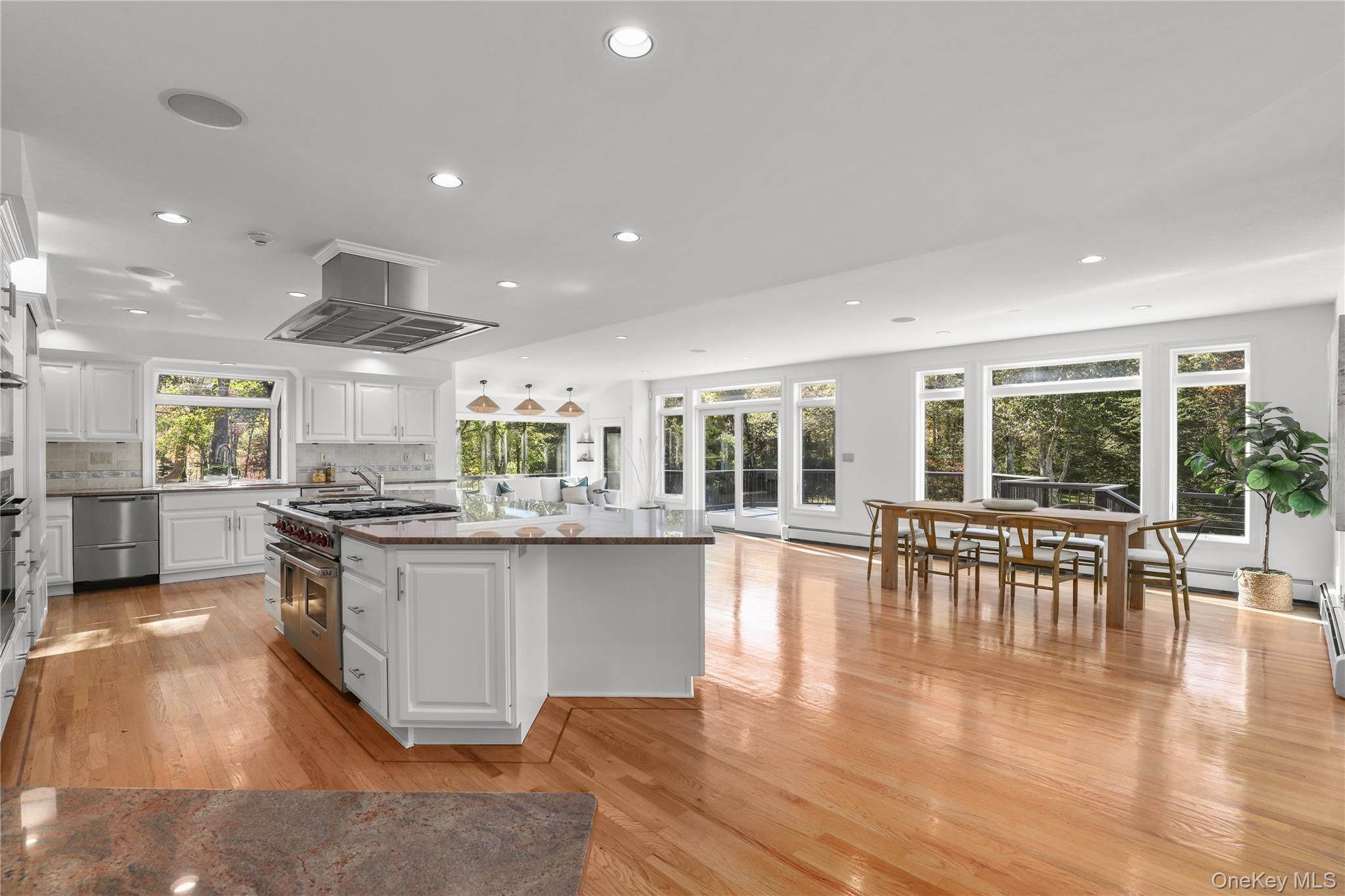 Single Family Knapp Westchester County, NY 10576, MLS-923654-3