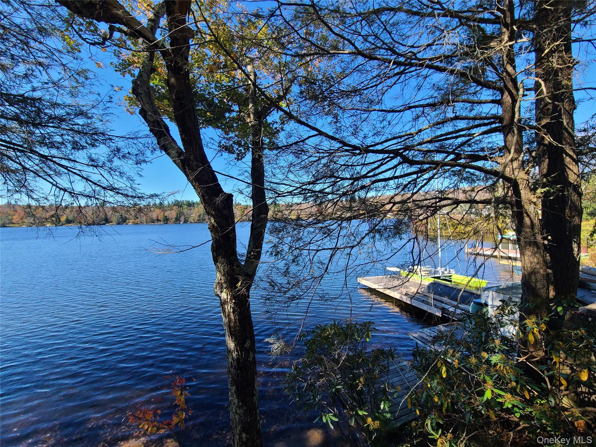 Single Family Park Sullivan County, NY 12768, MLS-923661-31