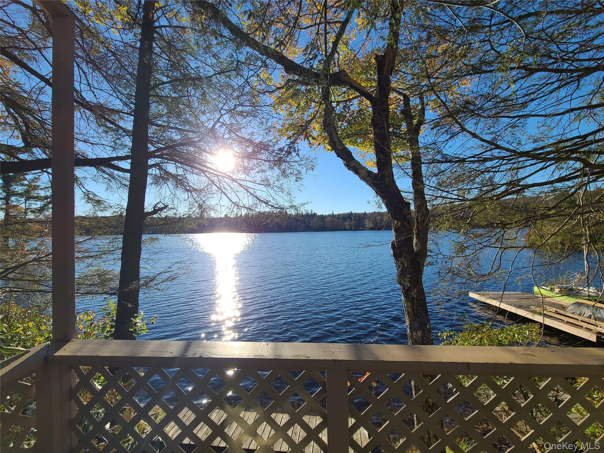 Single Family Park Sullivan County, NY 12768, MLS-923661-6