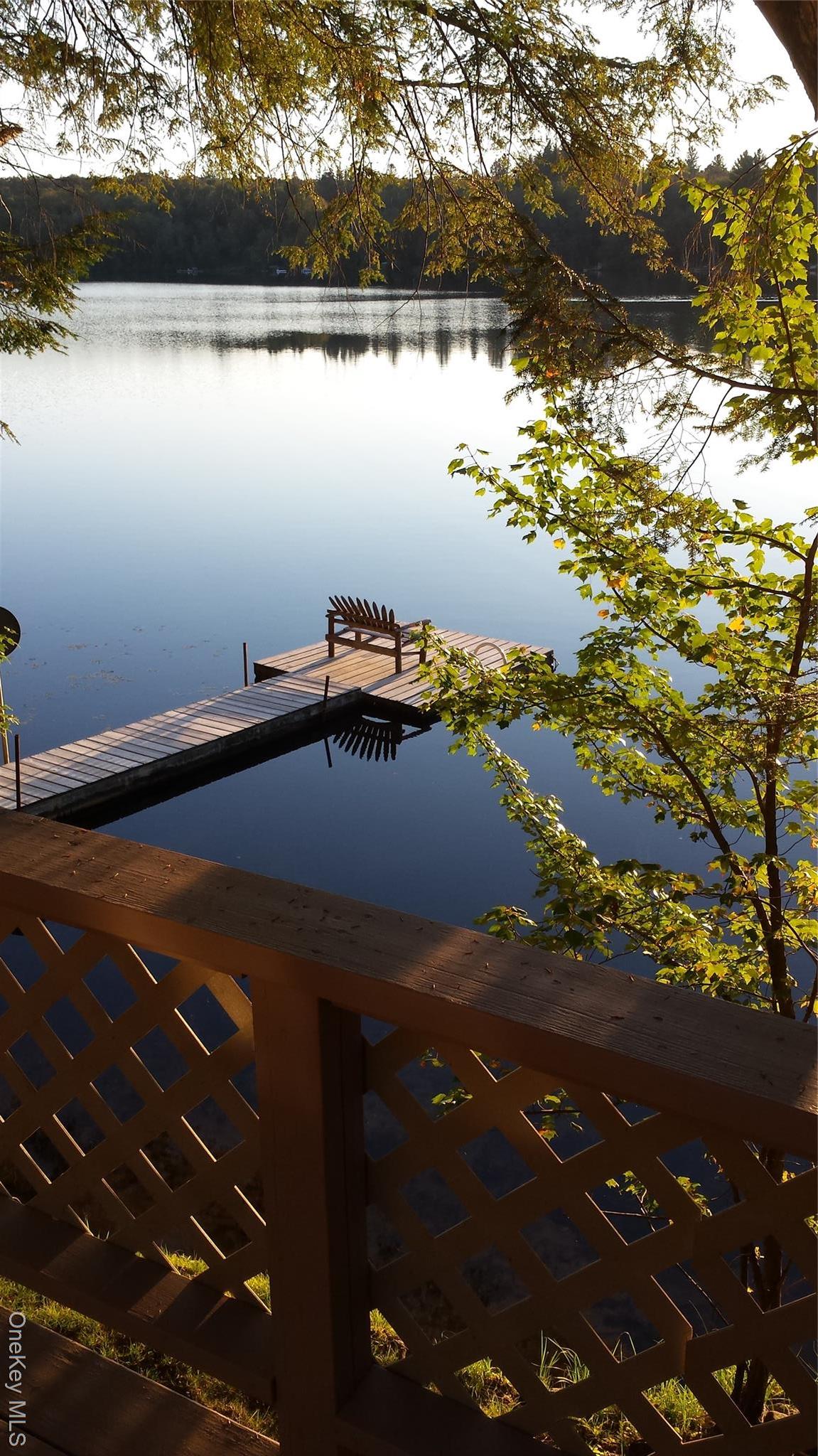 Single Family Park Sullivan County, NY 12768, MLS-923661-7