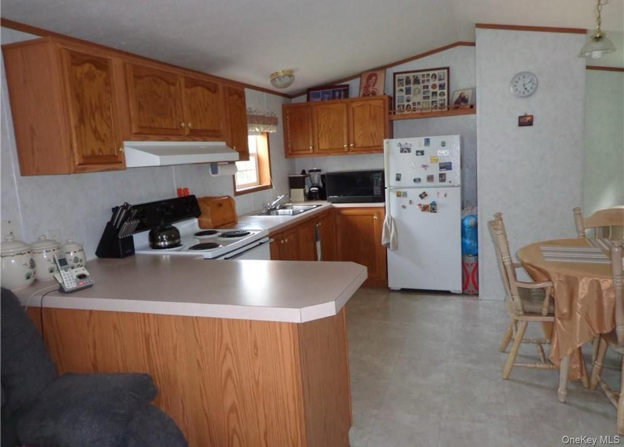 Single Family Mutton Hill  Sullivan County, NY 12765, MLS-923716-29