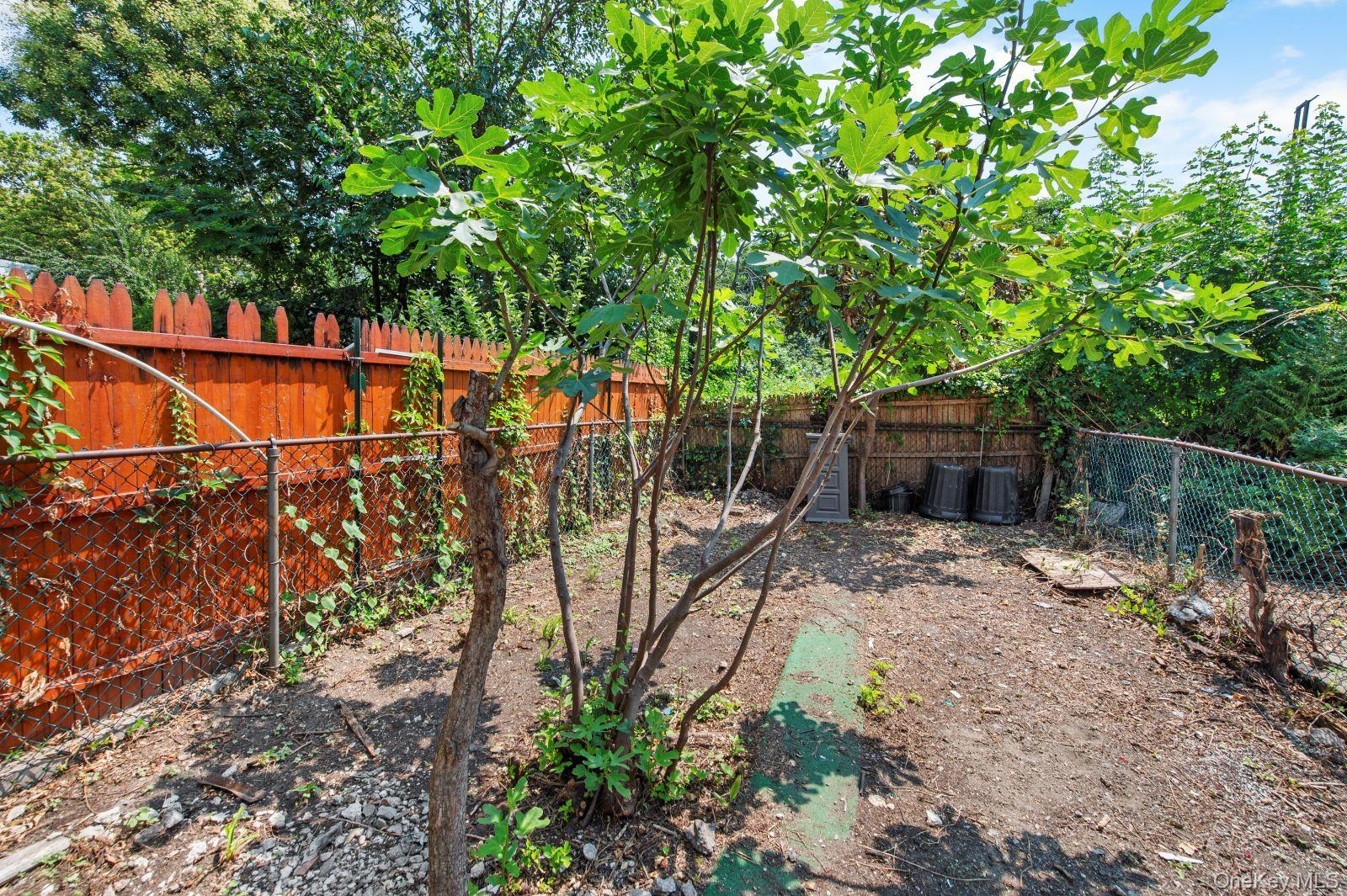 Single Family 14th Queens, NY 11102, MLS-923741-2