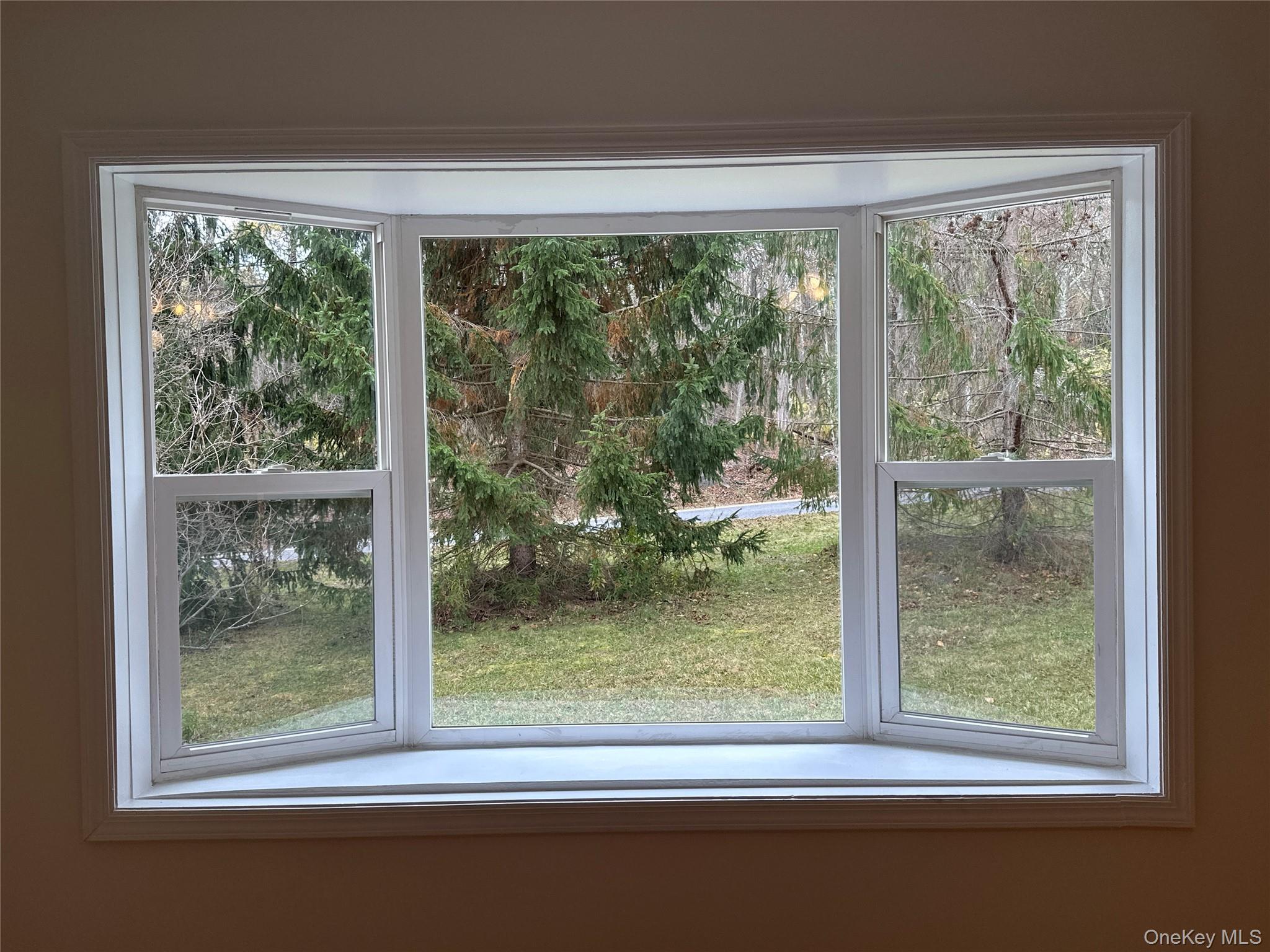 Single Family Edison Timmerman Greene County, NY 12413, MLS-923752-10