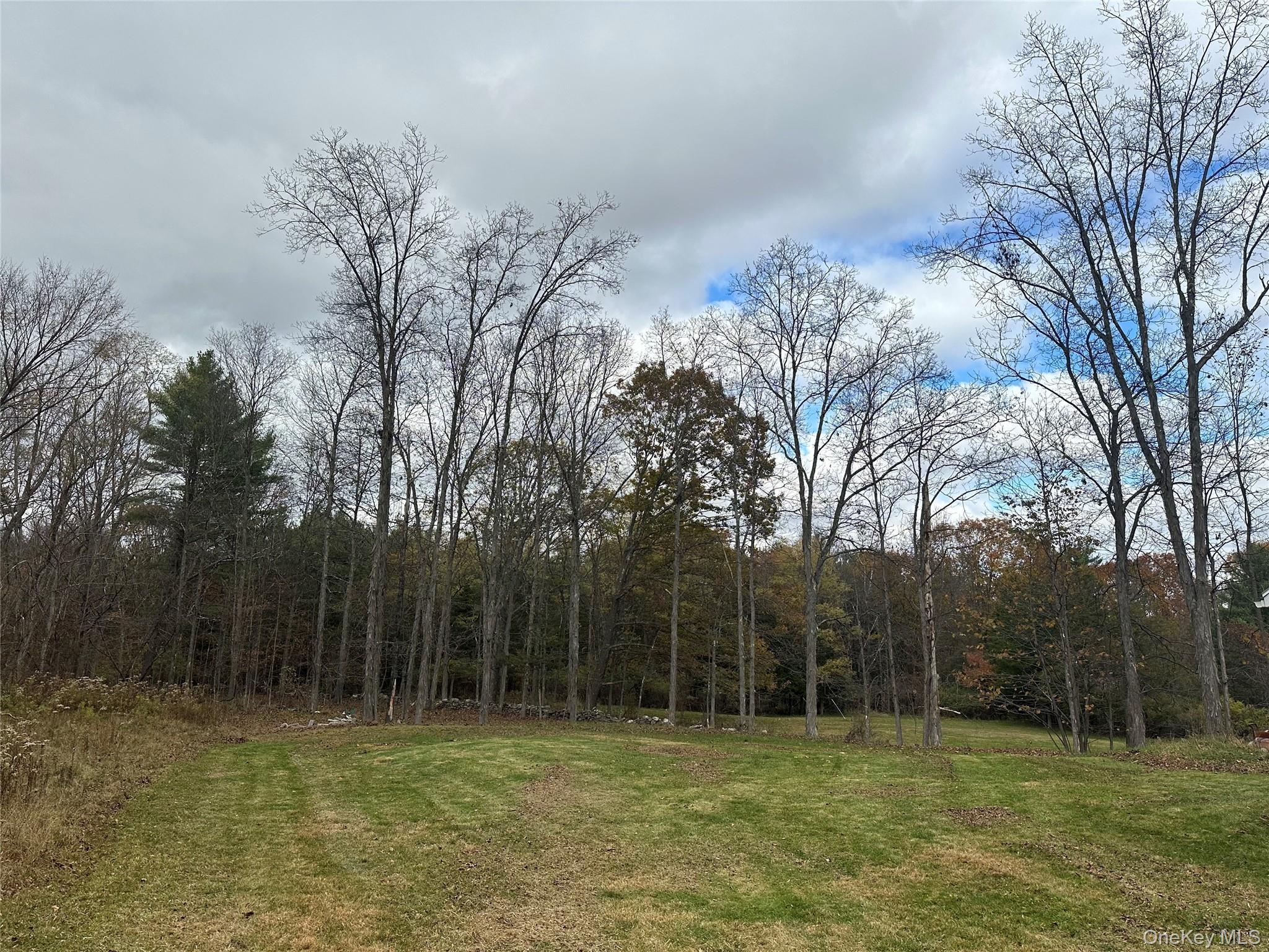 Single Family Edison Timmerman Greene County, NY 12413, MLS-923752-27