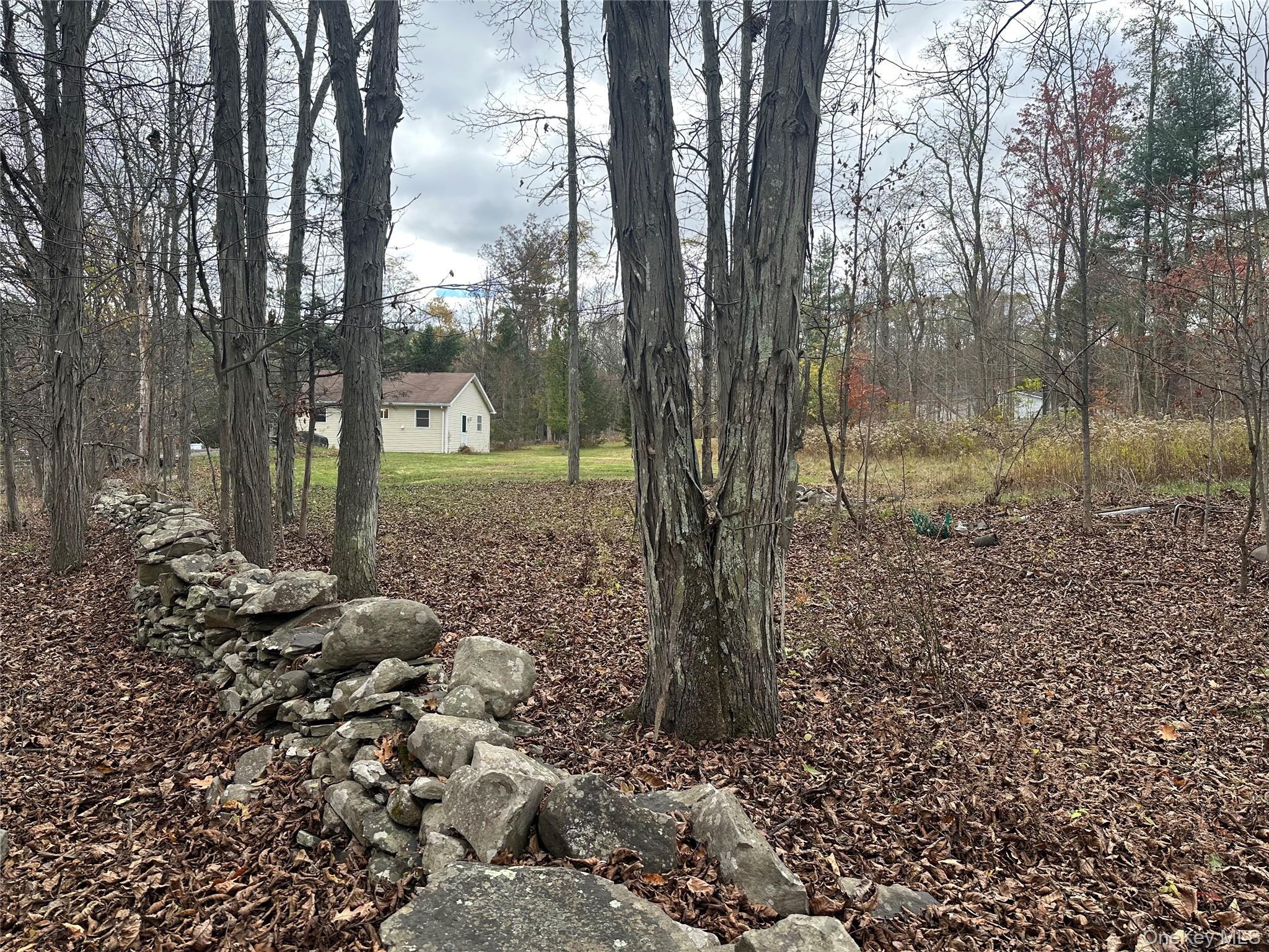 Single Family Edison Timmerman Greene County, NY 12413, MLS-923752-3