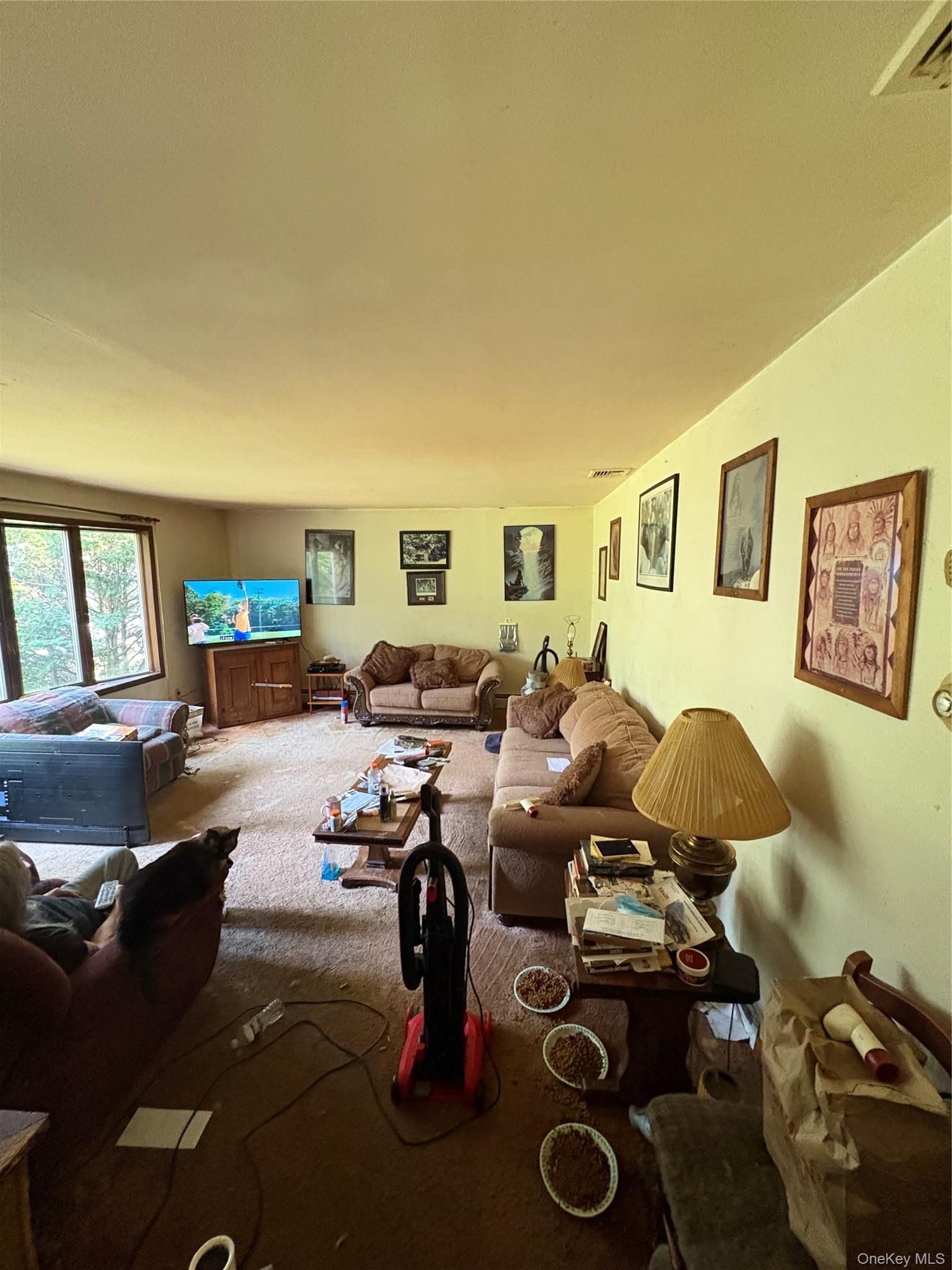 Single Family Chase Road Ulster County, NY 12589, MLS-923815-4