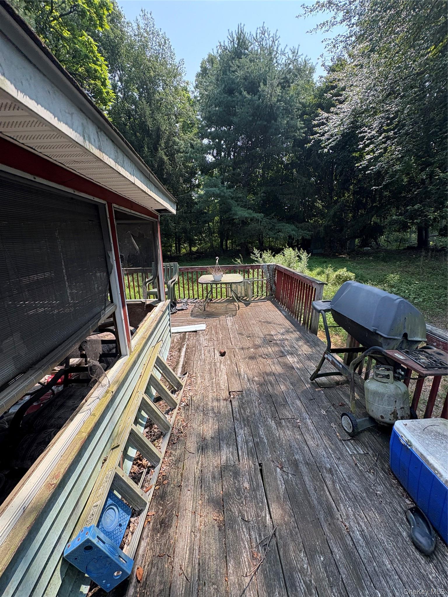 Single Family Chase Road Ulster County, NY 12589, MLS-923815-8